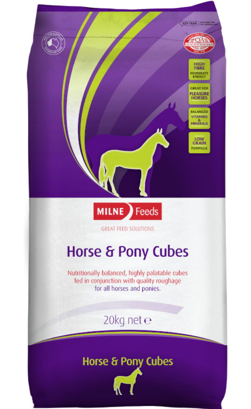 Horse & Pony Cubes