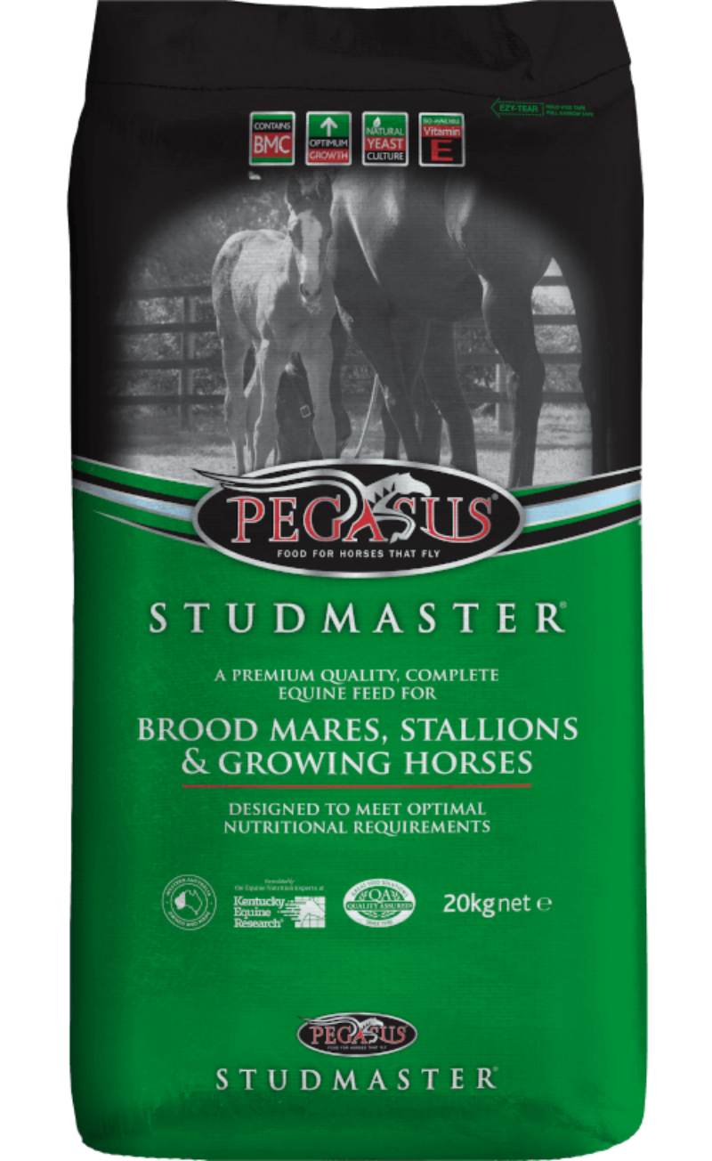 Studmaster Complete Horse Feed with BMC Pegasus Feed
