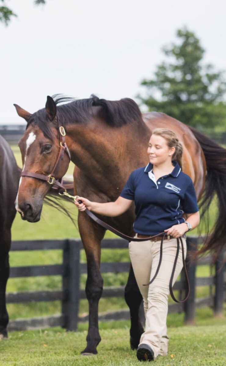 Woman Walking Horse